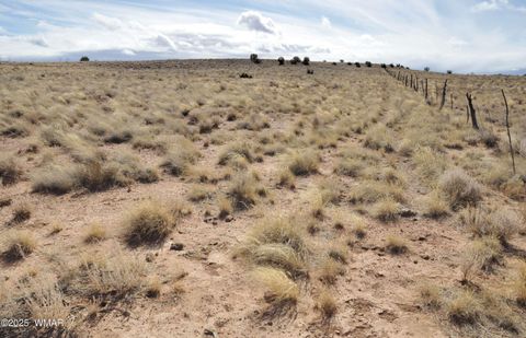 Tiny photo for 8037 Uttecht Trail, Snowflake, AZ 85937 (MLS # 254517)