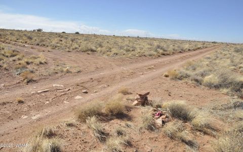 Tiny photo for 8037 Uttecht Trail, Snowflake, AZ 85937 (MLS # 254517)