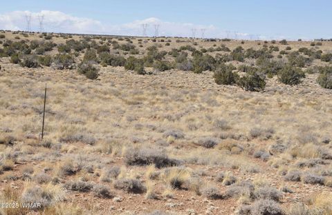 Tiny photo for 8037 Uttecht Trail, Snowflake, AZ 85937 (MLS # 254517)