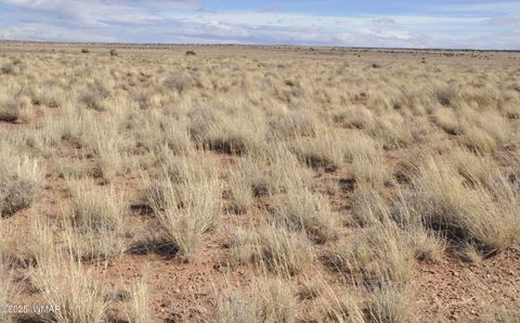 Tiny photo for 8037 Uttecht Trail, Snowflake, AZ 85937 (MLS # 254517)