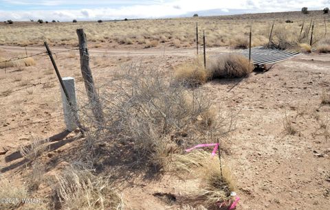 Tiny photo for 8037 Uttecht Trail, Snowflake, AZ 85937 (MLS # 254517)
