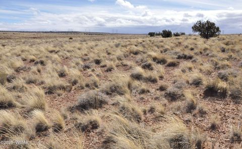 Tiny photo for 8037 Uttecht Trail, Snowflake, AZ 85937 (MLS # 254517)