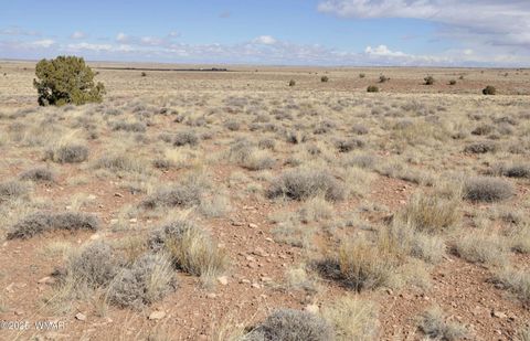 Tiny photo for 8037 Uttecht Trail, Snowflake, AZ 85937 (MLS # 254517)