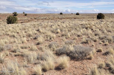 Tiny photo for 8037 Uttecht Trail, Snowflake, AZ 85937 (MLS # 254517)
