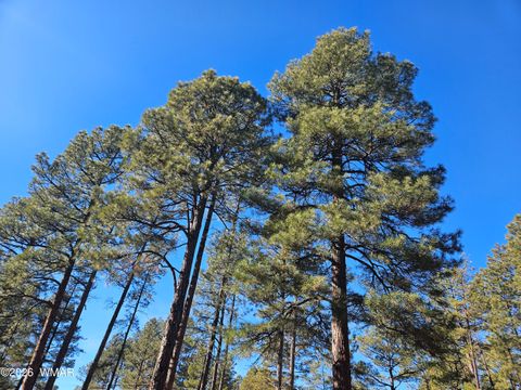 Tiny photo for 940 N 46Th Drive, Show Low, AZ 85901 (MLS # 259121)