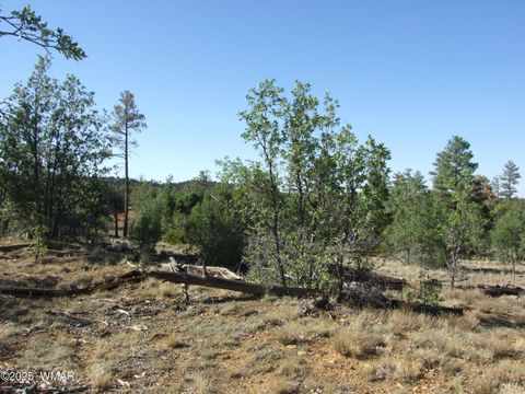 Tiny photo for Parcel B Lamb Dr, Pinedale, AZ 85934 (MLS # 257565)
