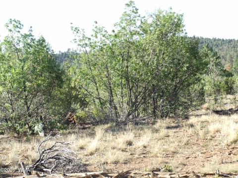 Tiny photo for Parcel B Lamb Dr, Pinedale, AZ 85934 (MLS # 257565)