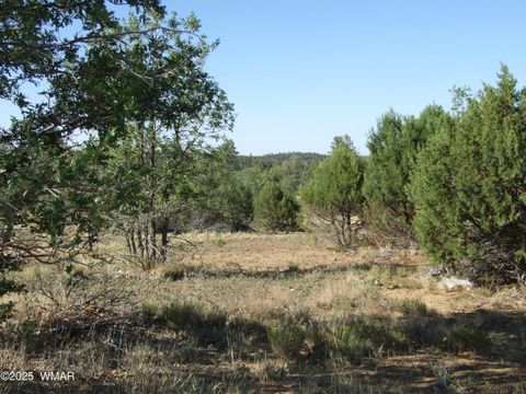 Photo of Parcel B Lamb Dr, Pinedale, AZ 85934 (MLS # 257565)