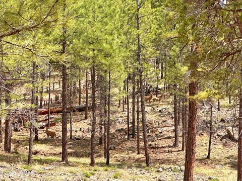 Tiny photo for PAR 007H Chevelon Rd, Heber, AZ 85928 (MLS # 256824)