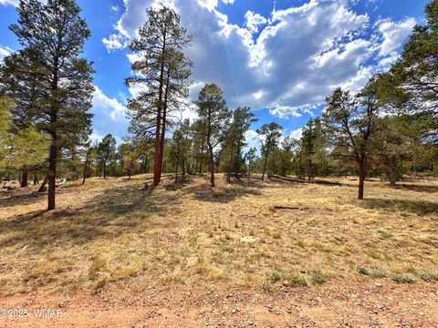 Tiny photo for PAR 007H Chevelon Rd, Heber, AZ 85928 (MLS # 256824)