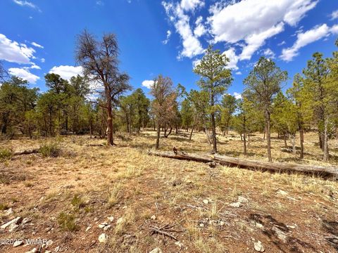 Tiny photo for PAR 007H Chevelon Rd, Heber, AZ 85928 (MLS # 256824)