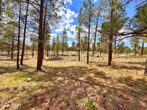 Photo of PAR 007H Chevelon Rd, Heber, AZ 85928 (MLS # 256824)