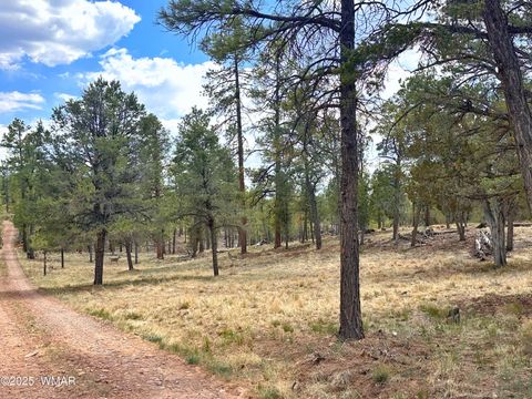 Tiny photo for PAR 007H Chevelon Rd, Heber, AZ 85928 (MLS # 256824)