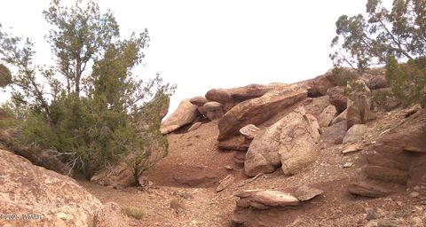 Tiny photo for TBD CR 	212-08-001E, Concho, AZ 85924 (MLS # 258052)