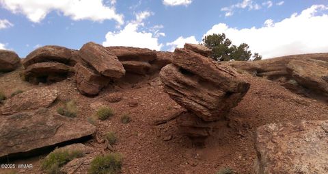 Tiny photo for TBD CR 	212-08-001E, Concho, AZ 85924 (MLS # 258052)