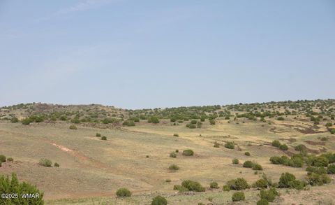 Photo of TBD CR 	212-08-001E, Concho, AZ 85924 (MLS # 258052)