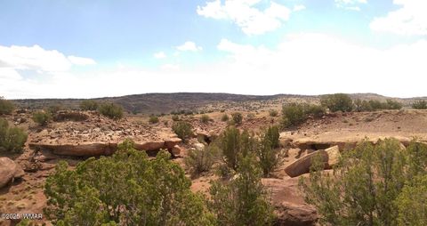 Tiny photo for TBD CR 	212-08-001E, Concho, AZ 85924 (MLS # 258052)