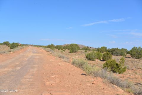 Tiny photo for TBD Ridgeview Ranch Road, Snowflake, AZ 85937 (MLS # 257417)