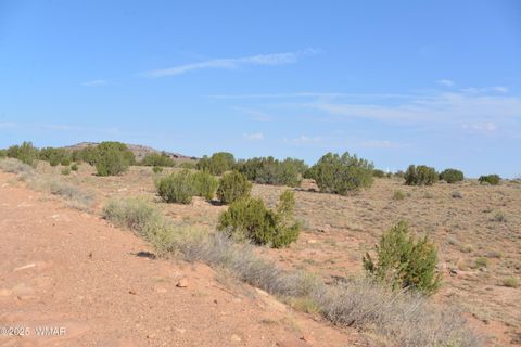Photo of TBD Ridgeview Ranch Road, Snowflake, AZ 85937 (MLS # 257417)