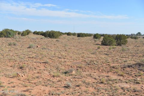 Tiny photo for TBD Ridgeview Ranch Road, Snowflake, AZ 85937 (MLS # 257417)
