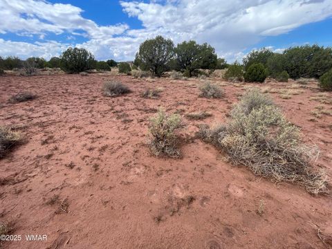 Tiny photo for 4372 Apache Road, Snowflake, AZ 85937 (MLS # 246586)