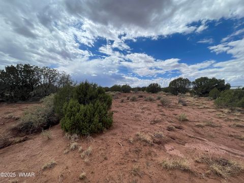 Tiny photo for 4372 Apache Road, Snowflake, AZ 85937 (MLS # 246586)