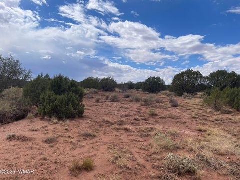 Tiny photo for 4372 Apache Road, Snowflake, AZ 85937 (MLS # 246586)