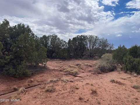 Tiny photo for 4372 Apache Road, Snowflake, AZ 85937 (MLS # 246586)