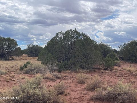Tiny photo for 4372 Apache Road, Snowflake, AZ 85937 (MLS # 246586)
