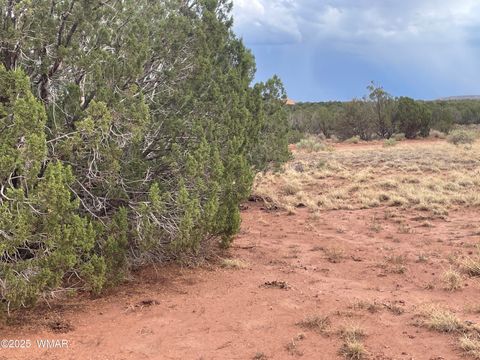 Tiny photo for 4372 Apache Road, Snowflake, AZ 85937 (MLS # 246586)