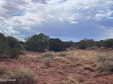 Tiny photo for 4372 Apache Road, Snowflake, AZ 85937 (MLS # 246586)