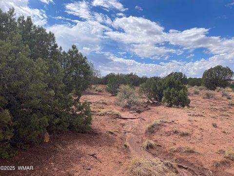 Tiny photo for 4372 Apache Road, Snowflake, AZ 85937 (MLS # 246586)