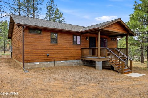 Photo of 2934 Ransack Road, Overgaard, AZ 85933 (MLS # 260352)