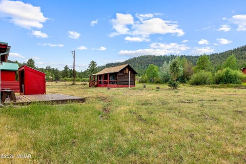 Tiny photo for 5 County Road 1000 Road, Greer, AZ 85927 (MLS # 262164)