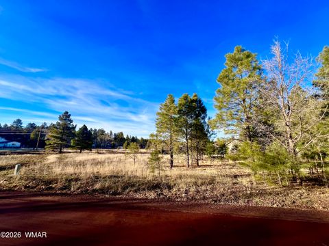 Tiny photo for 2748 Evergreen Drive, Show Low, AZ 85901 (MLS # 259741)