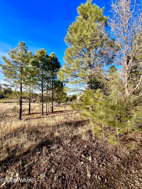 Tiny photo for 2748 Evergreen Drive, Show Low, AZ 85901 (MLS # 259741)