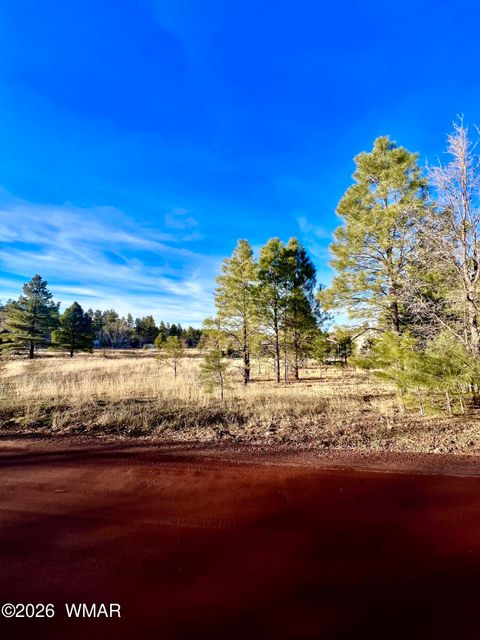 Tiny photo for 2748 Evergreen Drive, Show Low, AZ 85901 (MLS # 259741)
