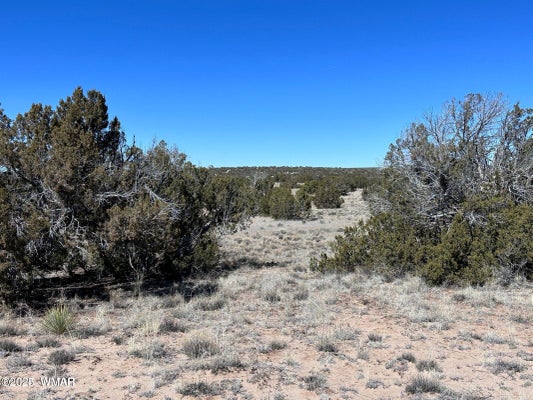 A ST, CHINLE, AZ 86503 - Image 2469dd56ef49c19c6cc829ec3ddae878/3627365565