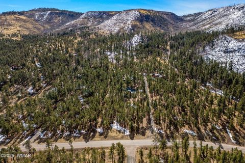 Tiny photo for 3 N1062, Greer, AZ 85927 (MLS # 260087)