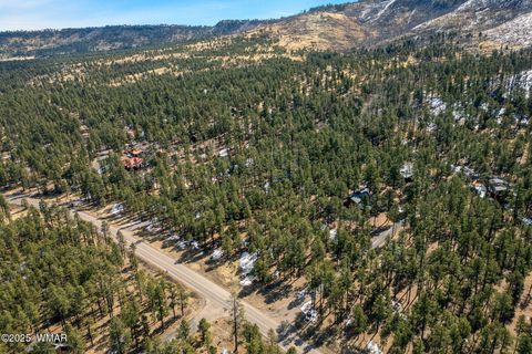 Tiny photo for 3 N1062, Greer, AZ 85927 (MLS # 260087)