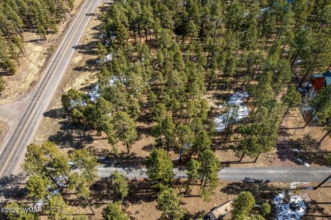 Tiny photo for 3 N1062, Greer, AZ 85927 (MLS # 260087)