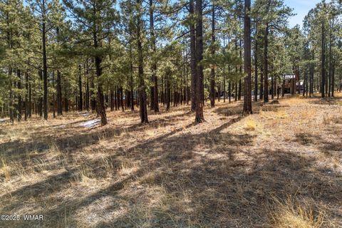 Tiny photo for 3 N1062, Greer, AZ 85927 (MLS # 260087)