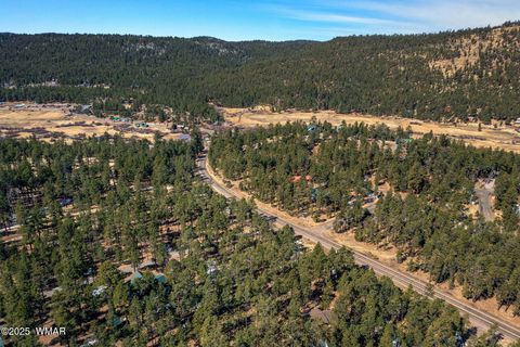 Tiny photo for 3 N1062, Greer, AZ 85927 (MLS # 260087)