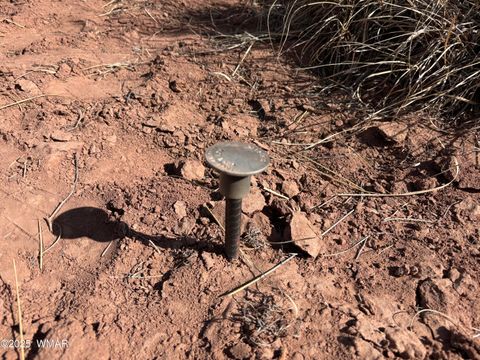 Tiny photo for 9659 E Juniper Berry Trail, Snowflake, AZ 85937 (MLS # 254596)
