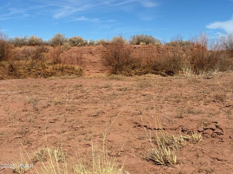 Tiny photo for 9659 E Juniper Berry Trail, Snowflake, AZ 85937 (MLS # 254596)