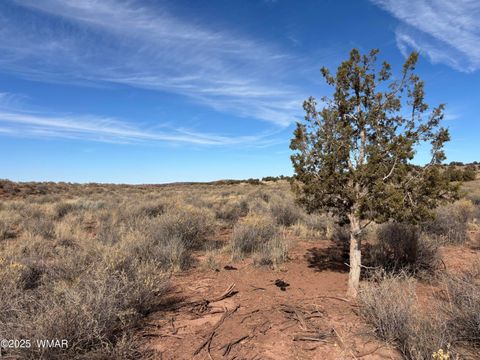 Photo of 9659 E Juniper Berry Trail, Snowflake, AZ 85937 (MLS # 254596)