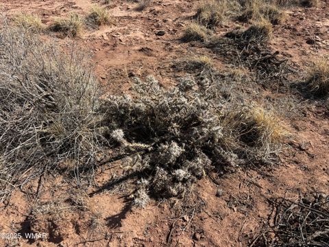 Tiny photo for 9659 E Juniper Berry Trail, Snowflake, AZ 85937 (MLS # 254596)