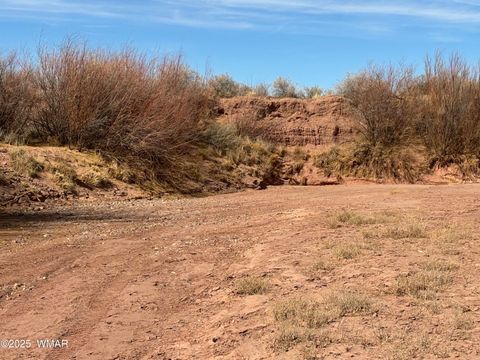Tiny photo for 9659 E Juniper Berry Trail, Snowflake, AZ 85937 (MLS # 254596)