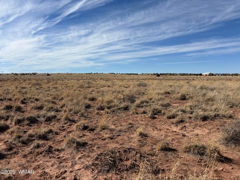 Tiny photo for 9659 E Juniper Berry Trail, Snowflake, AZ 85937 (MLS # 254596)