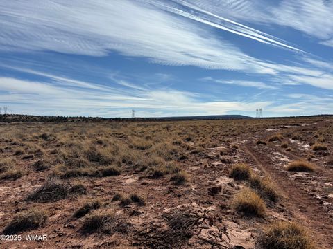 Tiny photo for 9659 E Juniper Berry Trail, Snowflake, AZ 85937 (MLS # 254596)